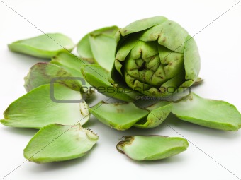 Artichoke With Leaves
