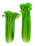 Two Bunches of Celery