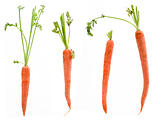 Four Carrots