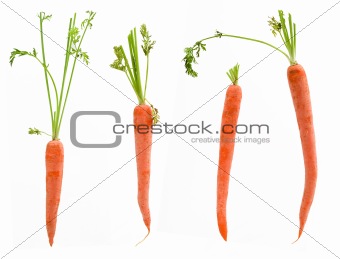 Four Carrots