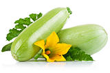 fresh marrow fruits with green leaves