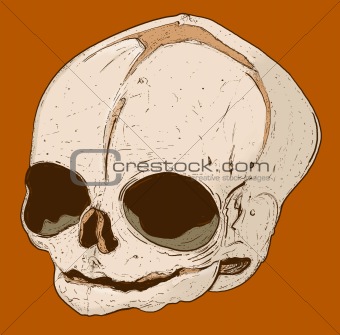 Human hand drawn skull 