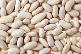 White bean background