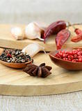 spices - red and black pepper, chili and garlic on a wooden background
