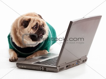 Pug Computer
