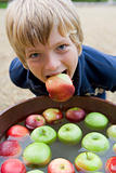 Young boy bobbing for apples