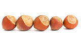 Row of hazelnuts