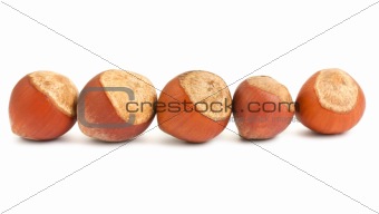 Row of hazelnuts