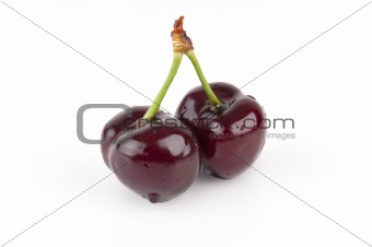 Isolated Red Cherries
