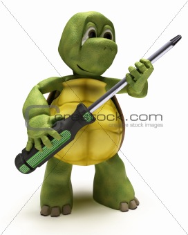Tortoise with a screwdriver