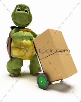 Tortoise with boxes for shipping