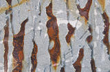 rusted metal tin background