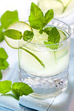 Mojito cocktail with rum and lime