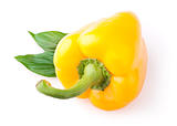 Yellow sweet pepper with leaf