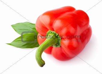 Red sweet pepper with leaf