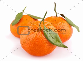 Tangerines with leaves isolated on white 
