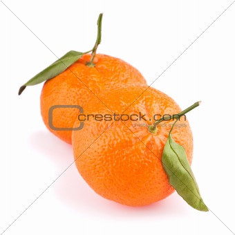 Tangerines with leaves isolated on white 