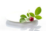Place setting with rose