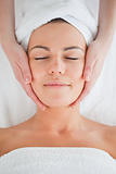 Portrait of a beautiful brunette having a facial massage