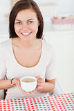 Cute dark-haired woman having a tea