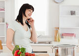 Attractive brunette woman on the phone while standing