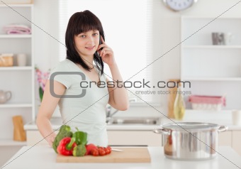 Good looking brunette woman on the phone while standing