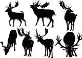 deers collection