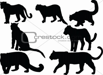 leopards collection silhouettes - vector