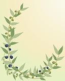 olive branch border