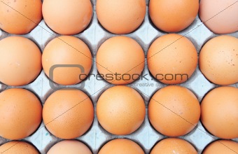 fresh organic brown eggs