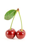 Two cherry fruits with leaf.