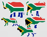 Big Five South Africa 