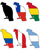 Andean Condor flags