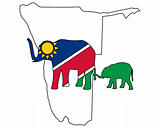 Namibia elephants