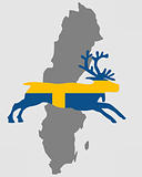 Swedish reindeer