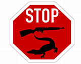 Stop shoot crocodile