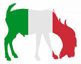 Italian he-goat