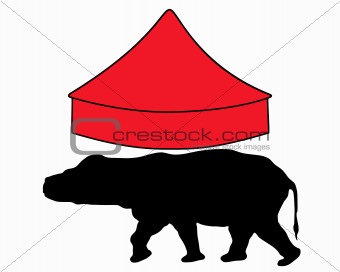 Hippo in circus