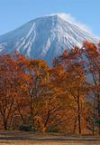 Mount Fuji in Fall