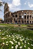 Flowers and Colosseum