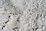 Dry cracked soil 