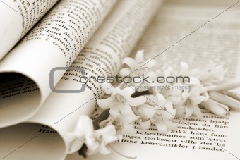 Book And Flower