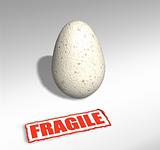 Fragile egg