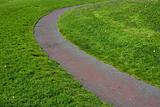 Grass Path #2