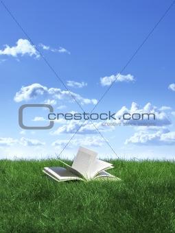 book on lawn