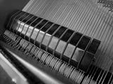 Piano Parts