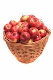 Many red apples lay in a basket on a white background