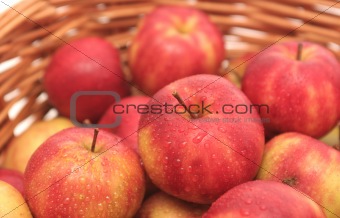 Many red apples lay in a basket on a white background