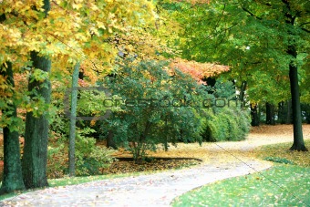 Curved Path in the Autumn
