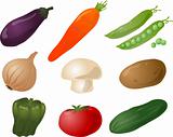 Vegetables illustration